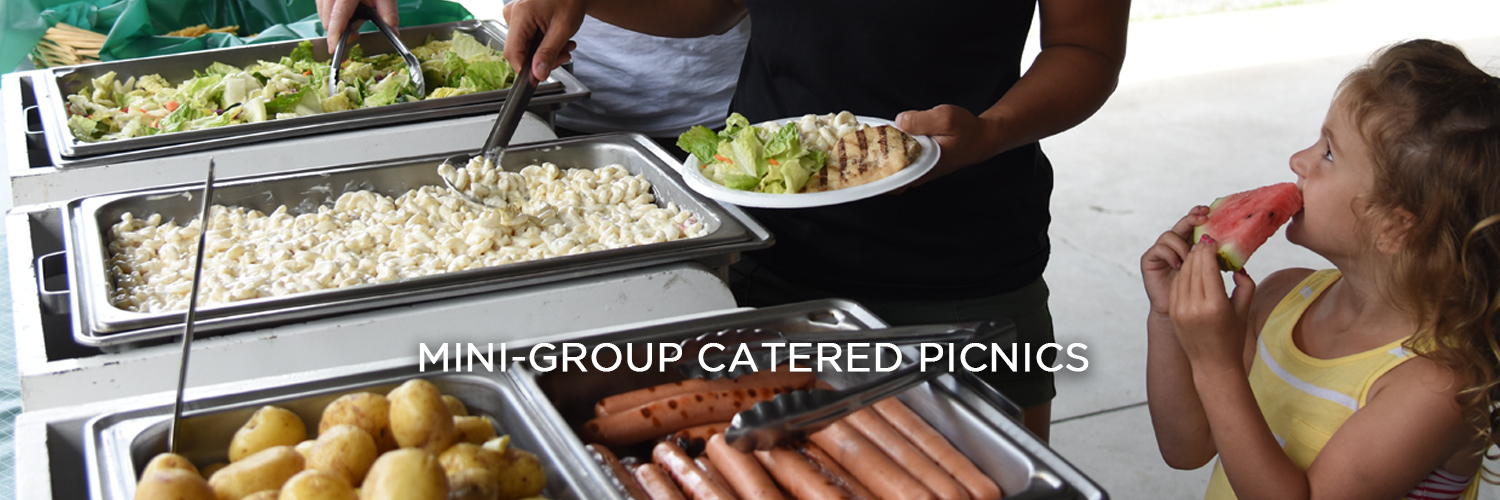 An image of a line of people getting food from a buffet. There are pans of salad, macaroni salad, potatoes and hot dogs, A young girl wearing a yellow shirt is biting into a piece of watermelon in the front right corner. There is white text centered at the bottom of the image that reads "Mini-Group Catered Picnics".