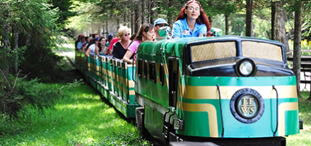 Image of the Enchanted Forest Express going through the woods. An employee is at the front of the ride taking the guests through the woods on the train.