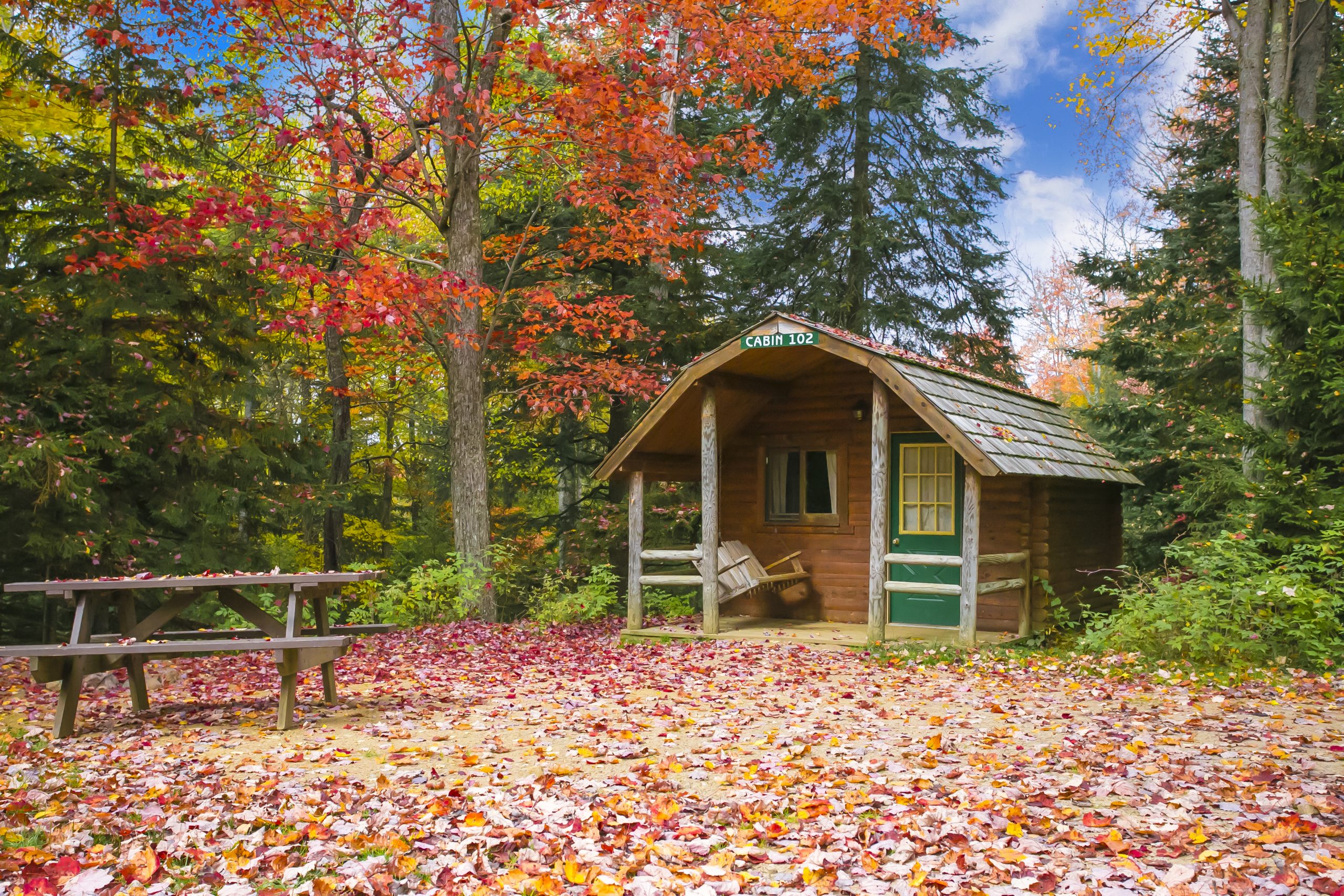 Photo of a cabin with a porch swing and picnic table, on a lovely fall day. The leaves are changing color and the ground is scattered with red and orange leafs.