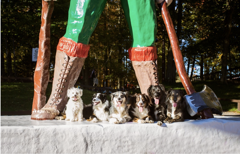 six dogs sitting at the feet of the Paul Bunyan statue at water safari