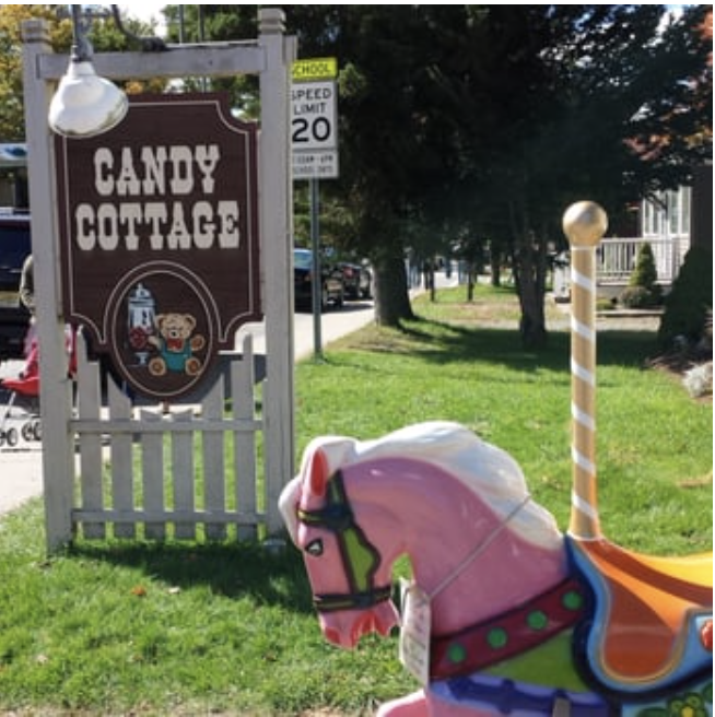 Picture of the cary cottage sign and a pink carousel horse next to it