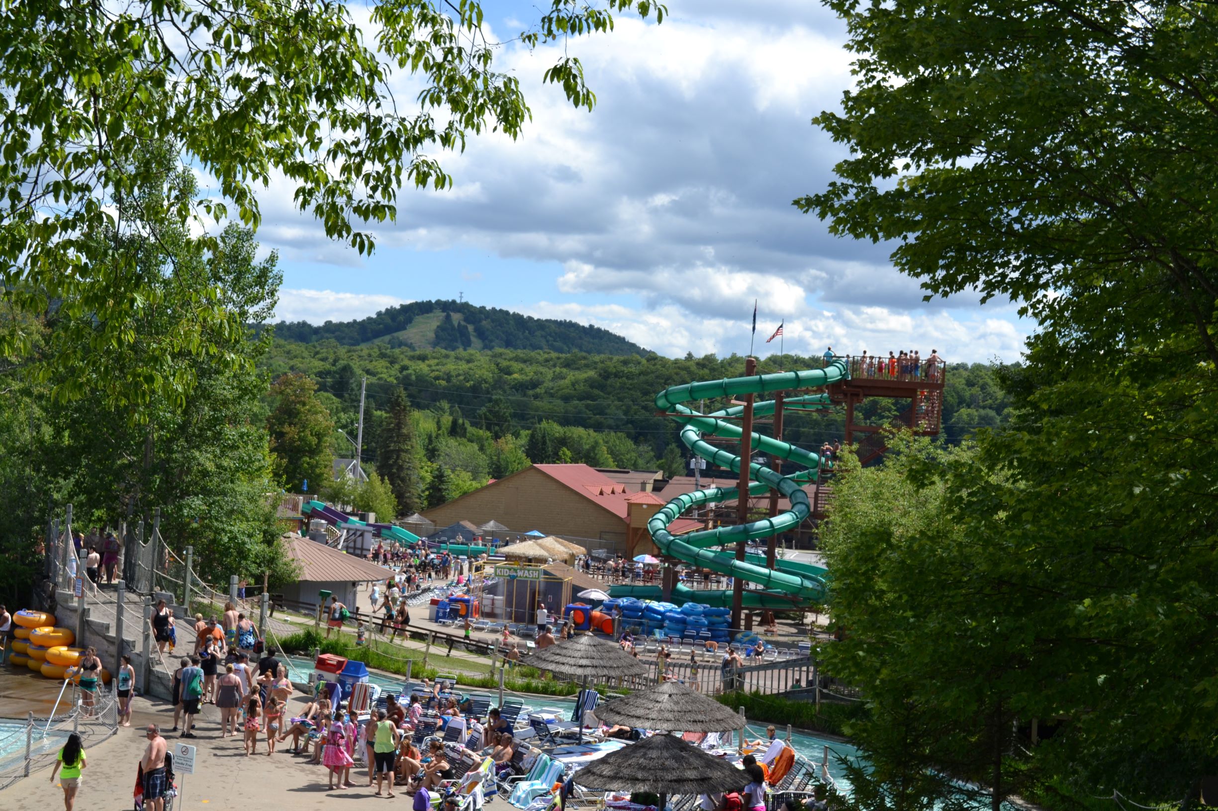 Trees, waterslides, people