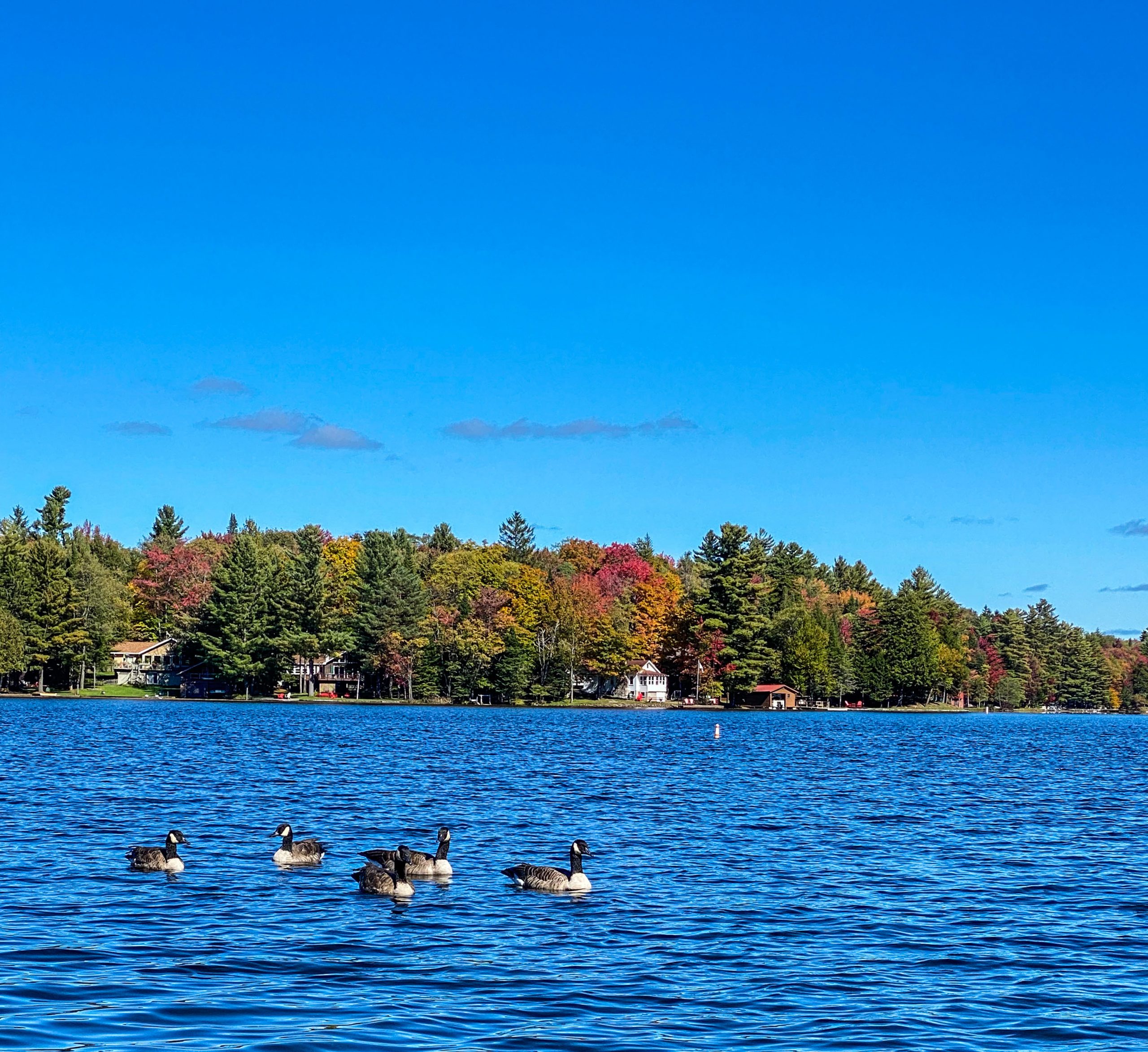 Autumn in Full Bloom in the Adirondacks