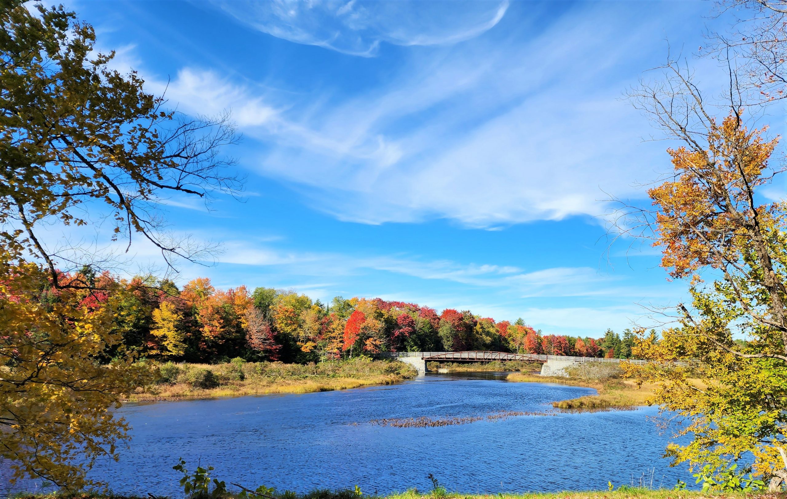 It’s Peak Week in Old Forge, NY!  Expect Brilliant Colors through this weekend