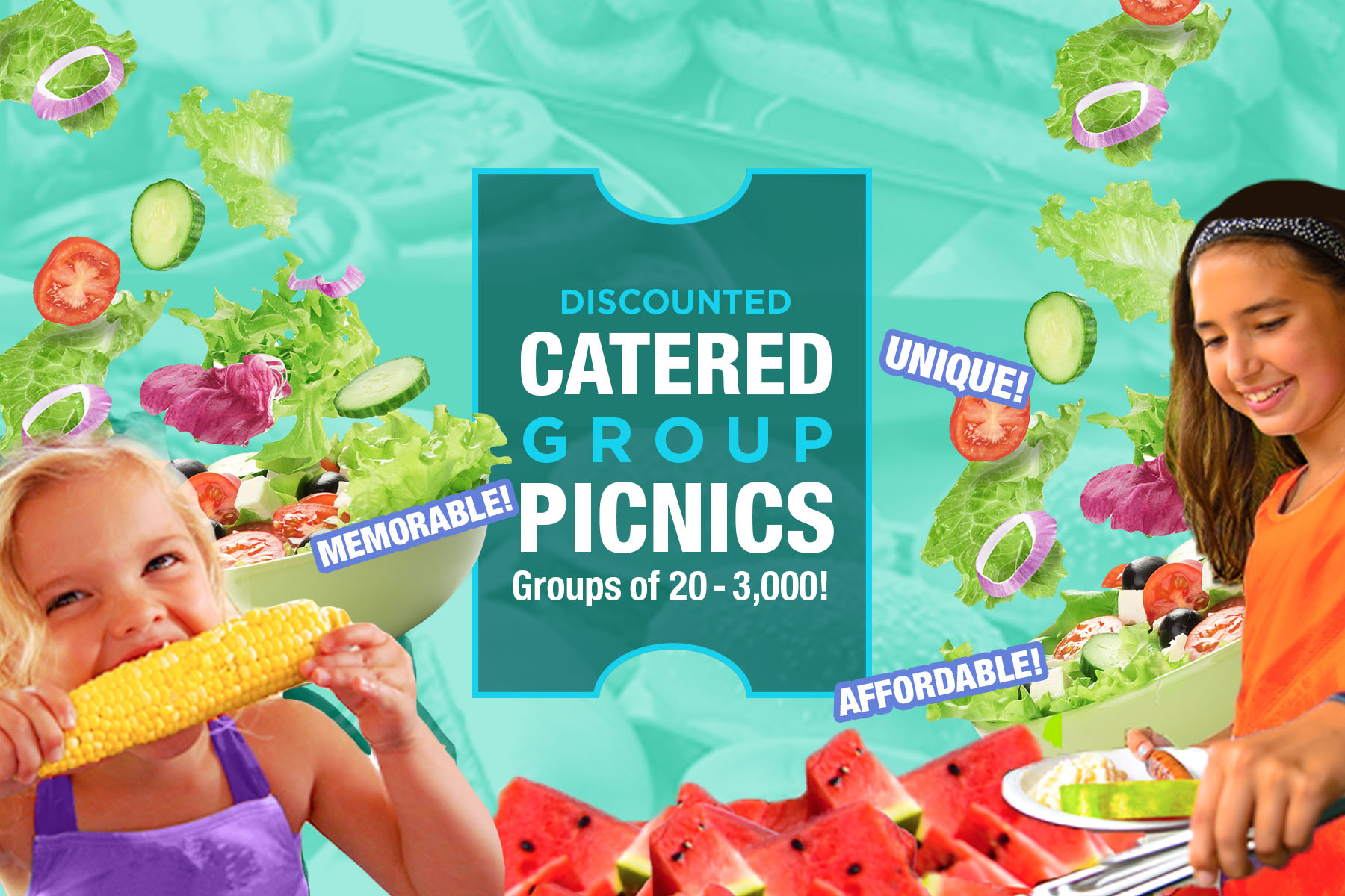 Catered Group Picnics